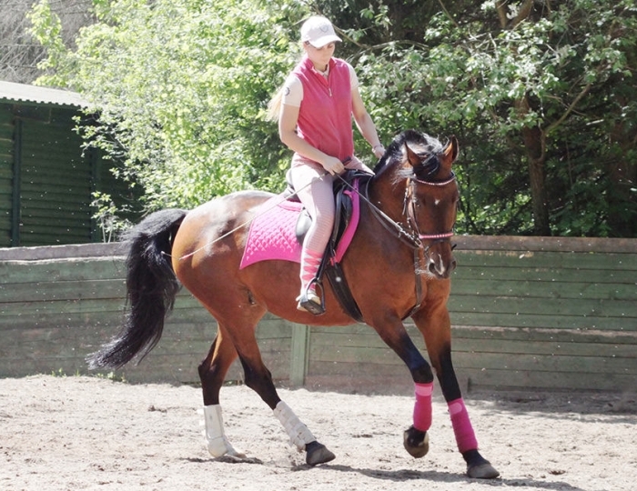 Конный клуб - Оздоровительный комплекс «Клязьма»